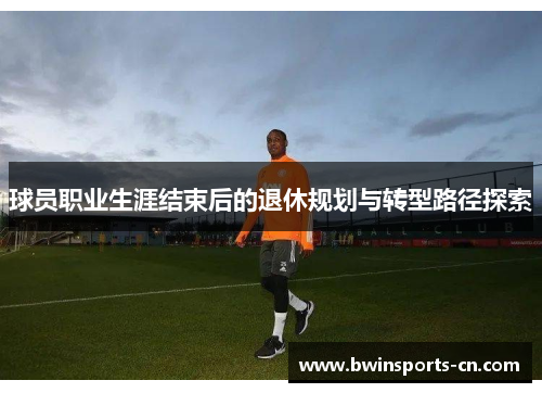 球员职业生涯结束后的退休规划与转型路径探索