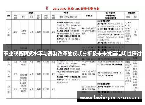 职业联赛薪资水平与赛制改革的现状分析及未来发展迫切性探讨