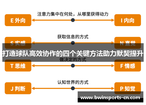 打造球队高效协作的四个关键方法助力默契提升