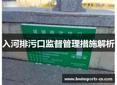 入河排污口监督管理措施解析