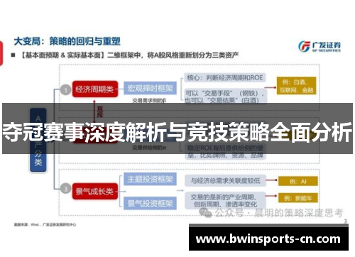 夺冠赛事深度解析与竞技策略全面分析