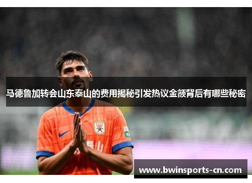 马德鲁加转会山东泰山的费用揭秘引发热议金额背后有哪些秘密